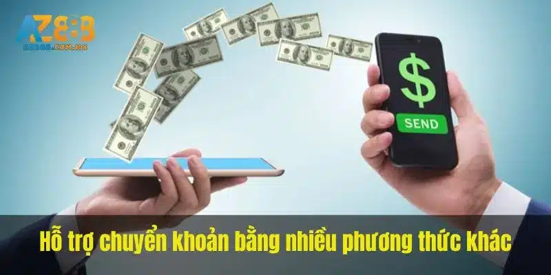 Hỗ trợ chuyển khoản bằng nhiều phương thức khác. 